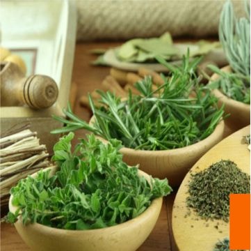 portada-articulo-remedios-caseros-diabetes-361×361